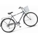 Stels Navigator 300G
