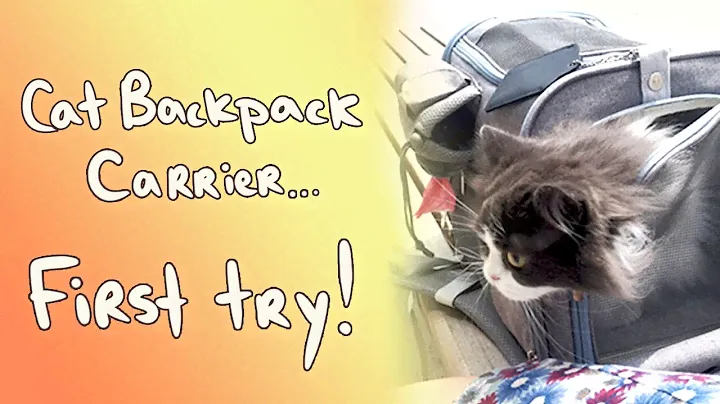 TRYING A CAT BACKPACK FOR THE FIRST TIME