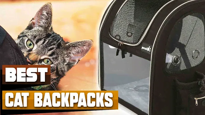 Best Cat Backpack In 2024 - Top 10 Cat Backpacks Review